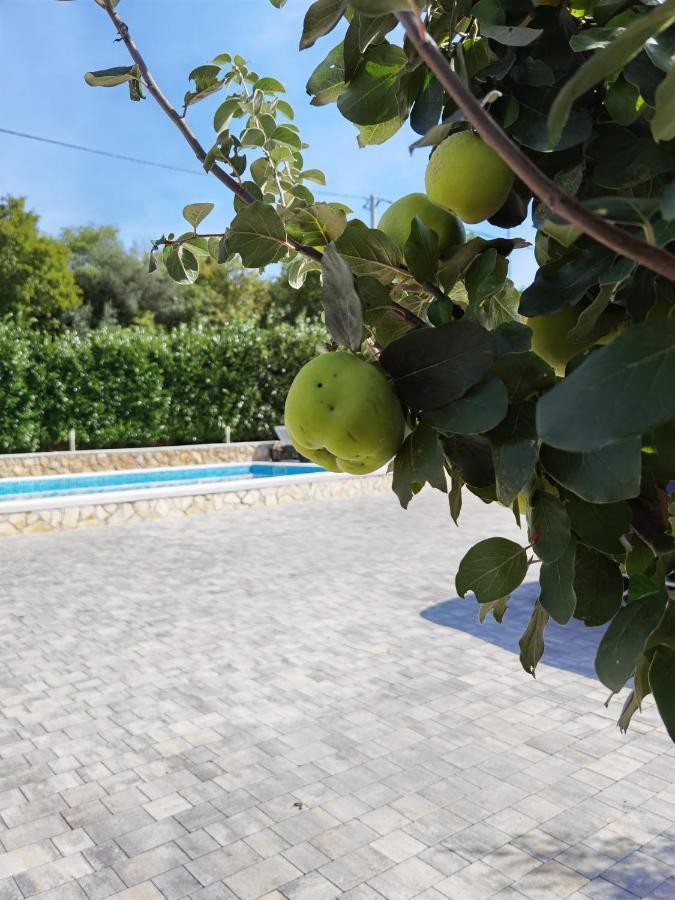 Apartments Beciri Sveti Vid-Miholjice Εξωτερικό φωτογραφία